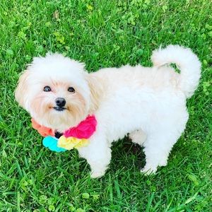 All reasonable offers will be considered!